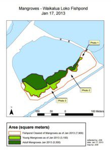 Mangrove Data image