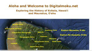 digitalmoku