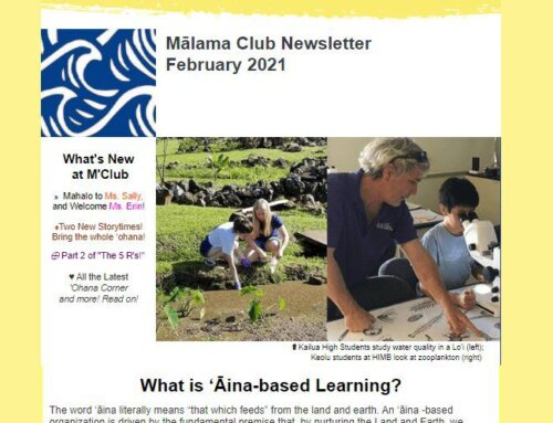 February 2021 Newsletter