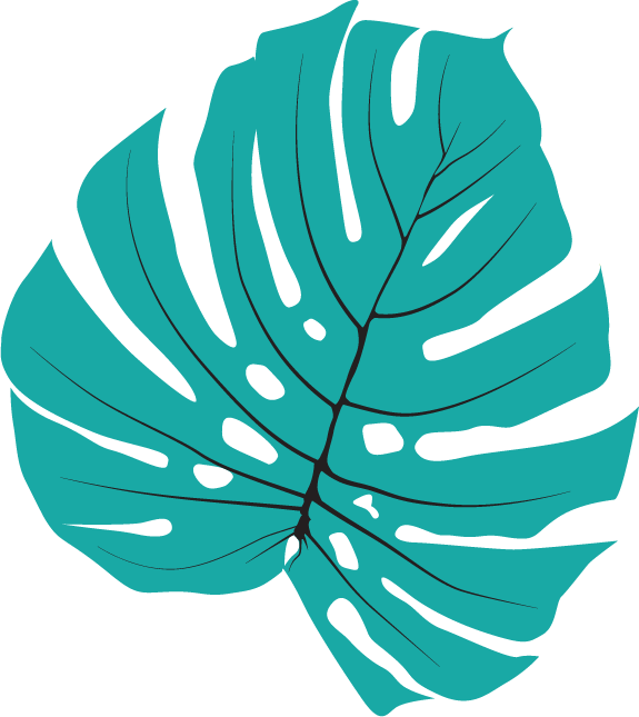 Monsterra Leaf 1