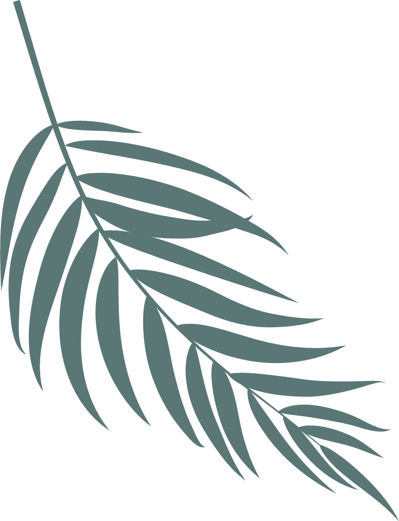 Palm Leaf 1